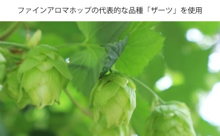 【ふるなび限定】【11カ月定期便】軽井沢ブルワリー クラフトビール 10種20缶 飲み比べ セット | クラフトビール 地ビール FN‐Limited