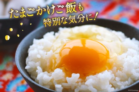 米 令和7年産 つや姫 5kg [宮城県 気仙沼市 20565767]