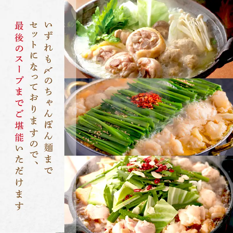 人気のもつ鍋＆水炊きお届け便【隔月定期便(計3回発送)】【F-028】