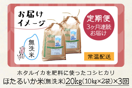 ほたるいか米（無洗米20kg）×3回 計60kg【3ヶ月定期便】