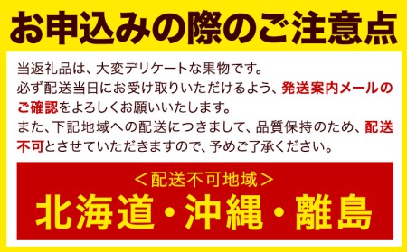 【☆2026年出荷☆】いちじく 福岡県産 ブランド いちじく とよみつひめ 約1.2kg (約300g×4パック) 【配送不可地域あり】【日付指定不可】 《8月中旬-9月末頃出荷(土日祝除く)》 福岡県 鞍手郡 鞍手町 いちじく イチジク 果物 フルーツ 送料無料
