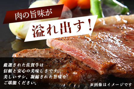 佐賀牛サーロインステーキ 4枚(合計840g)【黒毛和牛】F-54 肉 牛肉 A4等級以上 佐賀牛