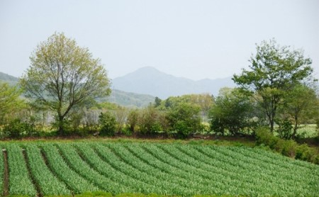 熟成黒にんにく　田子の黒Lサイズ6個入り（化粧箱）【田子町産にんにく使用】
