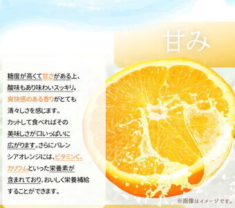 G7080_希少な 国産 バレンシアオレンジ 7kg 【家庭用 訳あり】【国産オレンジ オレンジ 柑橘 フルーツ 和歌山 有田】