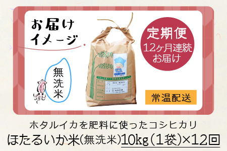 ほたるいか米　コシヒカリ 無洗米10kg ×12回 計120kg【12ヶ月定期便】米 定期便 [N-021002]