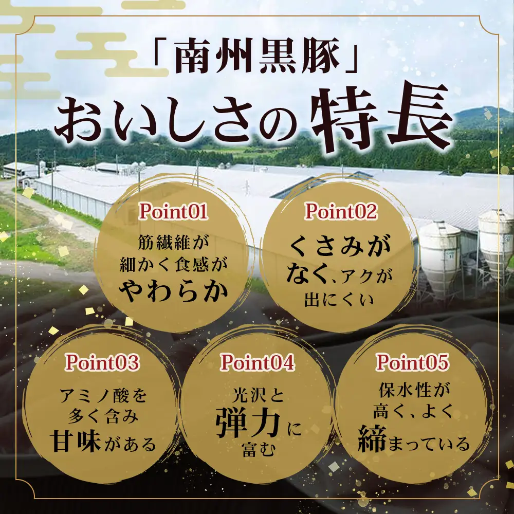 鹿児島県産 黒豚 しゃぶしゃぶセットA 2種 セット 約700g（肩ローススライス150g×2・バラスライス200g×2） NS-501 ❘ 肉 お肉 豚肉 豚 にく ぶた かごしま黒豚 ロース 肩ロース バラ スライス 冷凍 小分け 本格しゃぶしゃぶ とろける 甘み 鹿児島県 南大隅町 南州農場 