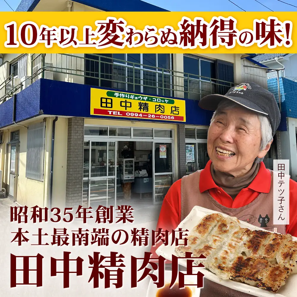 《リピーター続出！》佐多の田中肉屋 ニンニクたっぷりやみつき餃子 120個（12個入り×10パック） 餃子のタレ付き TA-402 | ぎょうざ 餃子 ギョウザ 豚肉 ひき肉 にんにく スタミナ餃子 焼くだけ 簡単 小分け 大容量 手作り お惣菜 おかず 冷凍 鹿児島県 南大隅町 田中精肉店