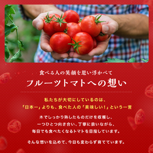 【期間限定】フルーツトマト 玄 2kg×1箱 | ミニトマト ぷちとまと プチトマト 九州産野菜 大分県産 大分県 中津市