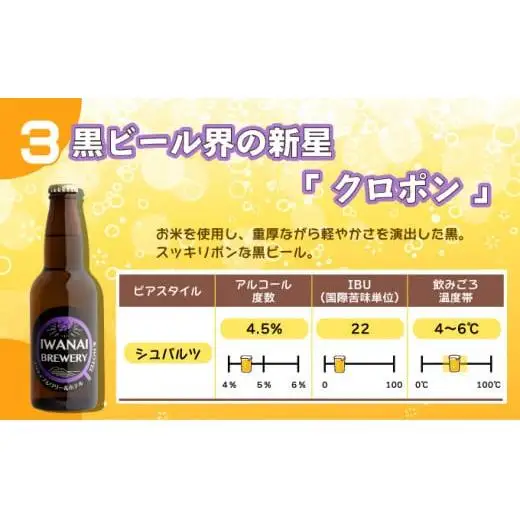 クラフトビール 飲み比べ3本セット F21H-473