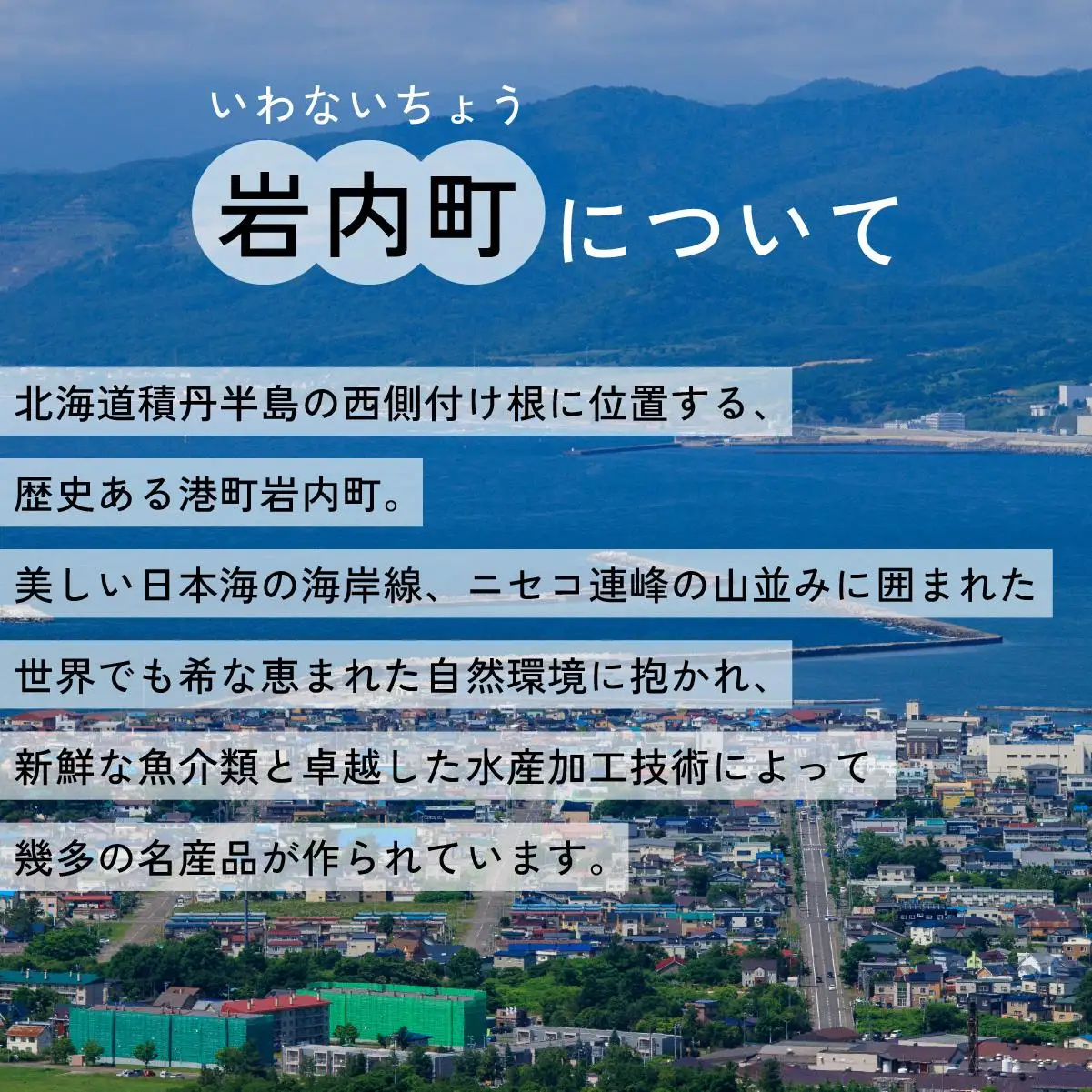 【旧国鉄岩内線岩内駅】mini駅名標グッズ詰め合わせ F21H-529