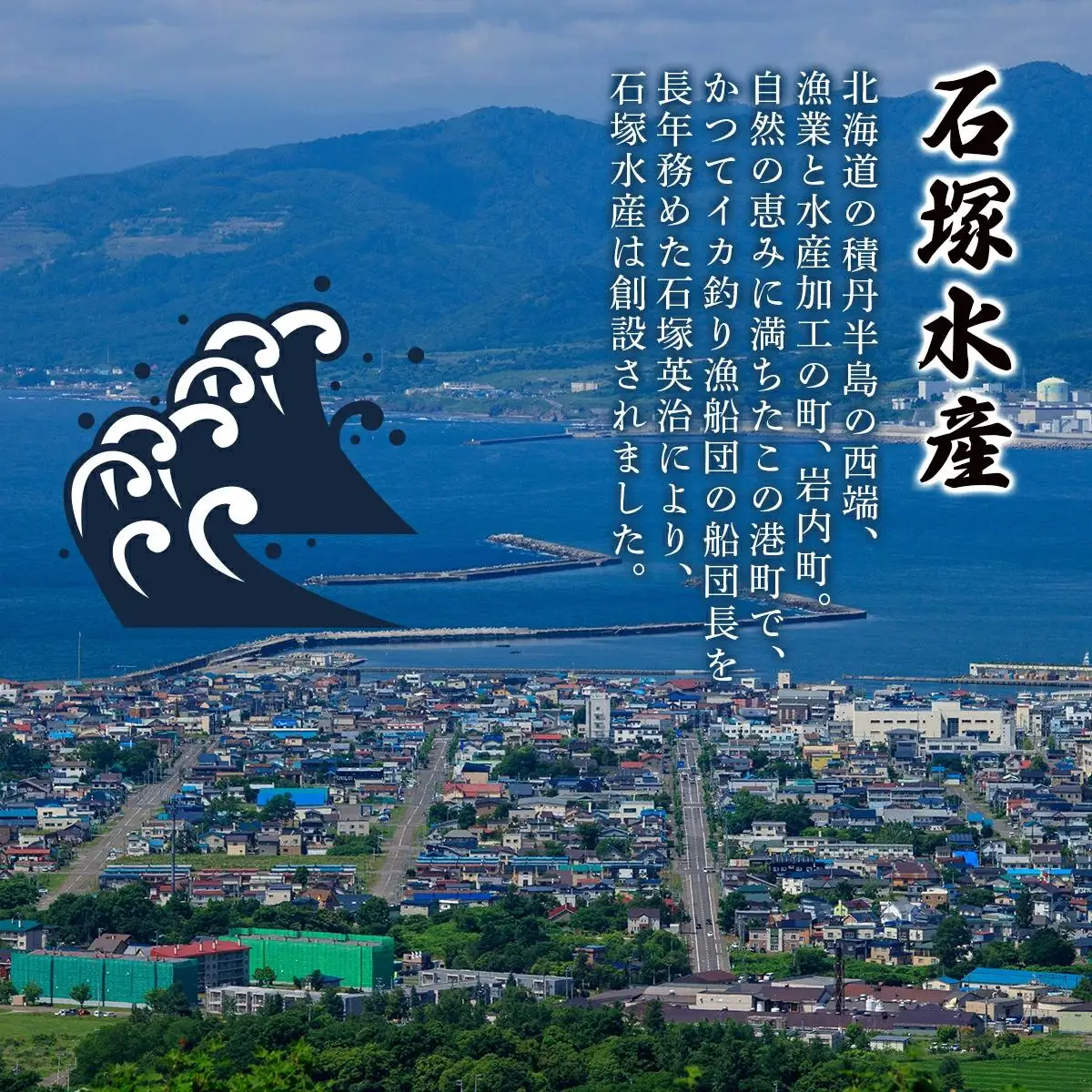 あわびとつぶ貝の北海道磯の塩辛セット アワビ F21H-532