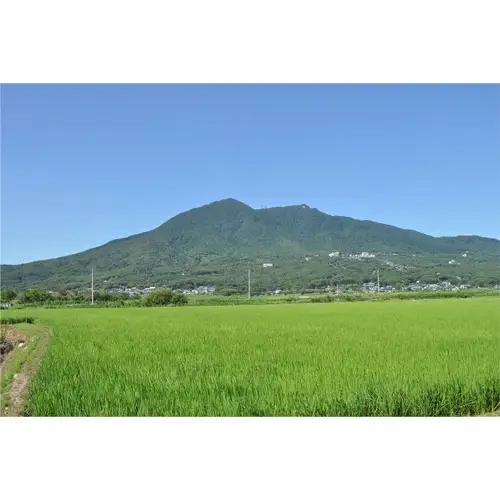 【令和7年産】茨城県産コシヒカリ10kg（5kg×2袋）精米 JA茨城むつみ ／ こしひかり 令和7年 新米 米 お米 おこめ こめ コメ 精米 白米 ご飯 国産米 10kg 10キロ おいしい お取り寄せ 産地直送 産直 坂東市産 茨城県産 茨城産 茨城県 特産品 No.179