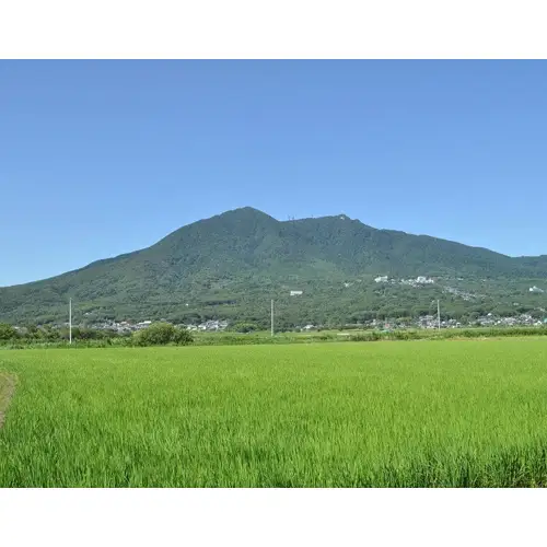 【令和7年産】茨城県産コシヒカリ20kg（10kg×2袋）精米 JA茨城むつみ ／ こしひかり 令和7年 新米 米 お米 おこめ こめ コメ 精米 白米 ご飯 国産米 20kg 20キロ おいしい お取り寄せ 産地直送 産直 坂東市産 茨城県産 茨城産 茨城県 特産品 No.180