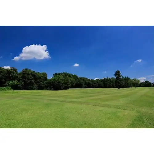 【坂東ゴルフクラブ】ゴルフ場利用券15000円分（寄付金額の3割相当額分） ／ ゴルフ golf GOLF ごるふ ゴルフ場 チケット ちけっと 体験 プレー券 利用券 ゴルフ場利用券 都心から1時間 アクセス抜群 好立地 茨城県 No.156