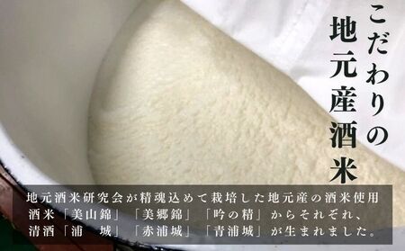 【生酒】純米吟醸無濾過原酒「青浦城」生＆雪景色（にごり酒）飲み比べ2本セット  720ml 各1本 お酒 日本酒 秋田 福禄寿酒造 地酒 ギフト プレゼント お祝い １合 