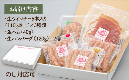 【お中元対象】特製 生ハンバーグ 生ハム 生ウインナー 3種 セット 糸島市 / 志摩スモークハウス[AOA028] 肉 加工品