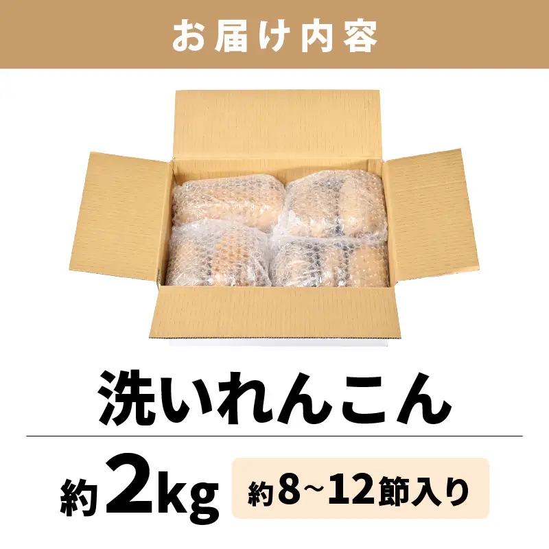 【先行予約】洗いれんこん2kg《発送直前に収穫してお届け！》 シャキっとした歯触り！ ／ 有機肥料 低農薬 蓮根 レンコン 野菜 根菜 正月【2026年11月中旬以降順次発送予定】 [aw056-a012]