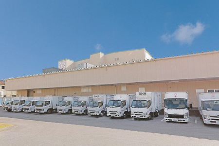 ソーキそば 老舗 サン食品 沖縄そば 半生麺 12食 軟骨 豚肉 麺 だし ご当地グルメ かつお スープ グルメ 常温 長期保存 90日 ソウルフード 贈り物 ギフト 沖縄 年越し 保存食 つゆ付き 肉 ソーキ スペアリブ 郷土料理 お取り寄せ