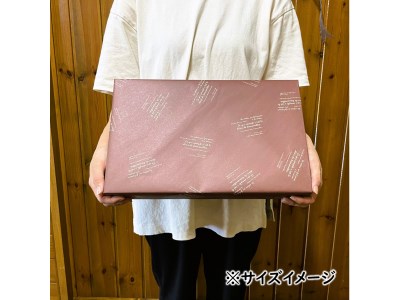 お皿まで食べられる！八百津せんべい「皿せんべい」詰合せ 10種セット 煎餅 おやつ お菓子