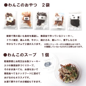 【定期便12回】わんこのお弁当セット Lサイズ