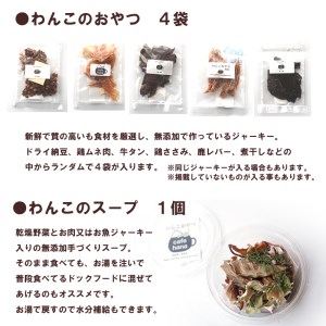 【定期便3回】わんこのお弁当セット Sサイズ