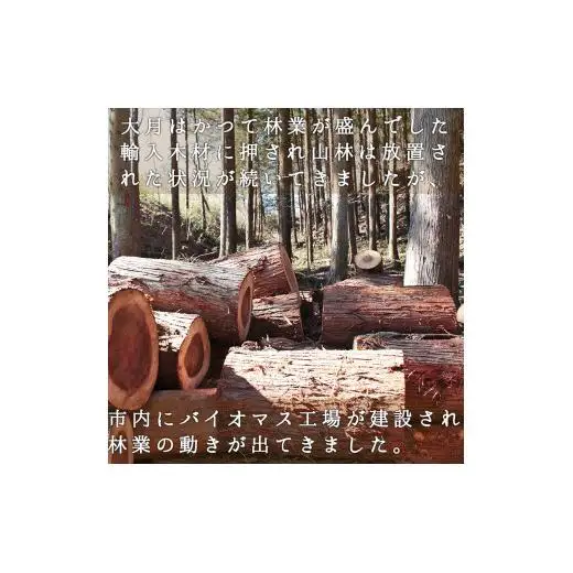 【大月市産】杉・檜のスウェーデントーチ　中サイズ×２