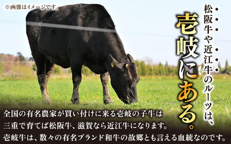 【お中元】極上 壱岐牛 A5ランク 赤身 希少部位 ステーキ 200g×2枚 部位おまかせ [JER052]