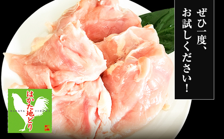 はかた地どり むね肉(約1kg)《30日以内に出荷予定(土日祝除く)》
