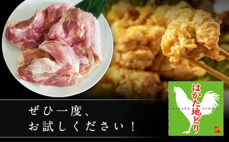 はかた地どり もも肉(約1kg) 《30日以内に出荷予定(土日祝除く)》