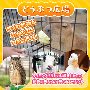 あらかわ遊園フリーパス（大人）１枚【015-001】歴史あるアミューズメントパーク施設 東京 体験型 遊園地 チケット 利用券 子供 キッズ 観光 旅行 親子 家族連れ 東京都 荒川区