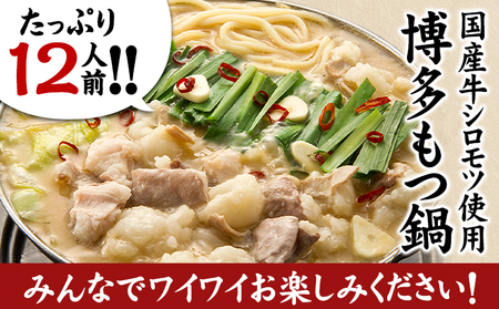 博多の味本舗　厳選国産牛博多もつ鍋みそ味パーティーセット12人前（3人前×4セット）《30日以内に出荷予定(土日祝除く)》福岡県   株式会社博多の味本舗 もつ鍋