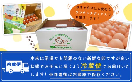【6ヶ月定期便】畠中育雛場のげんきタマゴん 30個 6回お届けで計180個！《お申込み月の翌月から出荷開始》福岡県   卵  有限会社畠中育雛場