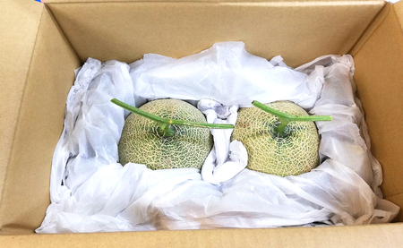 パンナメロン 2玉 希少 甘い 芳醇 メロン フルーツ 果物 数量限定 厳選 ギフト 旬 贈答