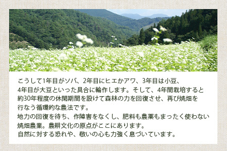 椎葉村の焼畑農家がつくった あわクッキー【手づくりの焼菓子】YS-31