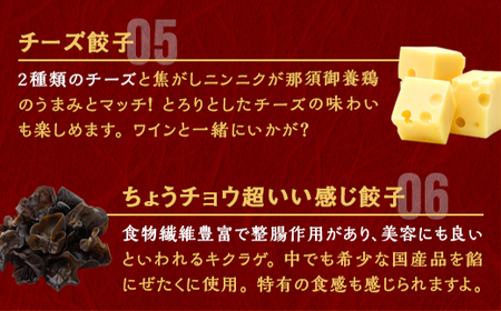 宇都宮餃子 運気アップ餃子 まあまあウマイ餃子 18個 保存料不使用【 餃子 ぎょうざ 冷凍餃子 冷凍食品 惣菜 栃木県 宇都宮市 】※配送不可地域：離島