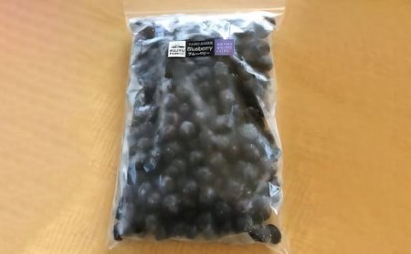 【お試しサイズ】久住高原 冷凍 ブルーベリー 500g 栽培期間中農薬不使用 手摘み 果物 フルーツ 【2025年7月下旬より順次発送開始予定】