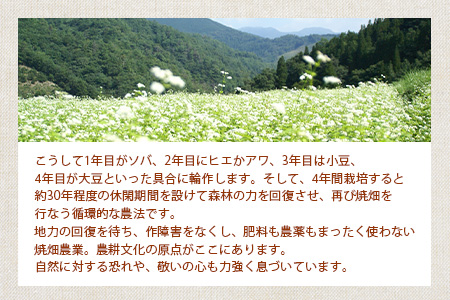 椎葉村の焼畑農家がつくった 蕎麦粉クラッカー【手づくりの焼菓子】YS-34