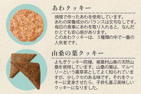 椎葉村の焼畑農家がつくった焼き菓子 5袋セット 【世界農業遺産からの貴重な贈り物】YS-26