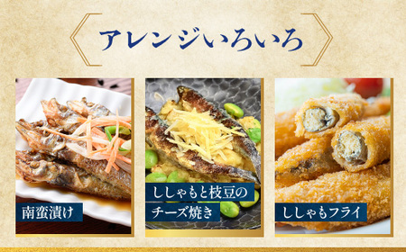 【数量限定！】 子持ち カラフトシシャモ 3kg (500g×6袋) 訳アリ シシャモ ししゃも カラフトししゃも 大洗 規格外 訳あり わけあり 傷_AV011