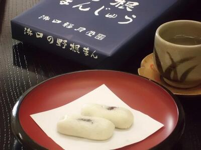 【最速発送】創業明治維新 浜口福月堂の野根まんじゅう 960個 (16個入×60箱) 【創業明治維新浜口福月堂】 [ATCT008]　スピード 最短 最速 発送