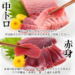 【定期便6回（毎月）】南マグロ丸ごと1本分 1回分の内容量は南マグロの大トロから赤身まで揃えた贅沢セット【00-019-06-TK】