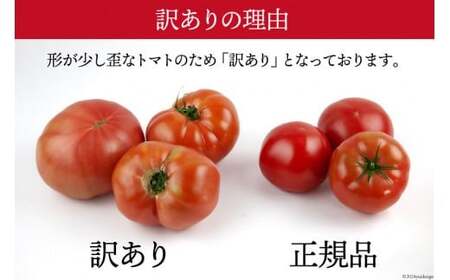 【2026年発送】 秋作 訳あり 桃太郎トマト 4kg [ヨダファーム 山梨県 中央市 21470978] 規格外 家庭用 不揃い トマト とまと 野菜 やさい 4キロ 季節限定 期間限定 産地直送 山梨県産 訳アリ tomato 【2026年10月下旬-12月下旬発送予定】