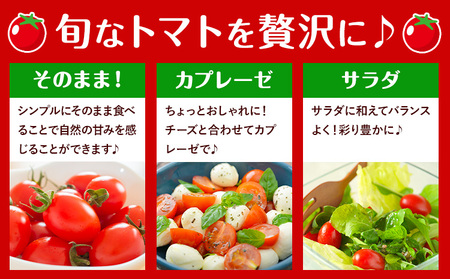 【ふるなびWEEK対象】アイコトマト1.5kg小箱《10月上旬-6月下旬頃出荷》ミニトマト野菜