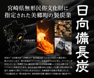 うなま 備長炭 (2級並) 3kg [宮崎県農業協同組合 八菜館ひゅうが店 宮崎県 美郷町 31ap0012]