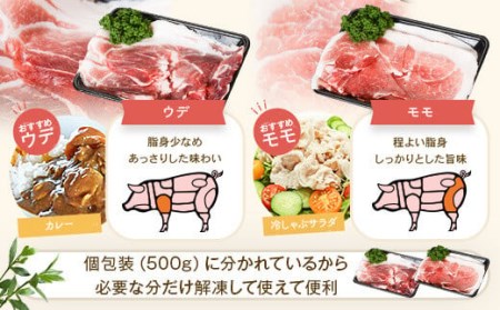 【訳あり】黒豚農場薩摩八重ファームのかごしま黒豚切り落とし（ウデ・モモ） 2kg SDGs未来都市薩摩川内 AS-587