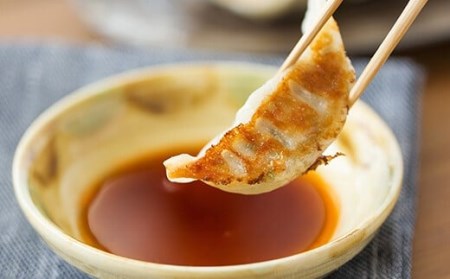 AS-021 かごしま黒豚餃子2箱 合計40個 ぎょうざ ギョーザ 薩摩八重ファーム 工房みかく亭