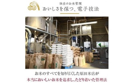 鹿児島県産あきほなみ 薩摩エース お米マイスター厳選 特A 5㎏×2袋（10kg）お米 精米 DS-309