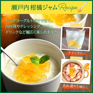 島の恵み 瀬戸内 柑橘ジャム 人気アソート 4本 セット 食べ比べ セット 温州みかん 紅八朔 レモン しらぬい ジャムセット シトラス お取り寄せグルメ 送料無料 広島県 呉市【合成保存料 着色料 不使用】 ku055-003-r