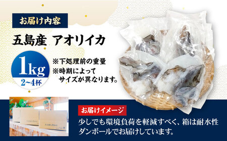 アオリイカ 1kg（2～4杯） [PEP005]  イカ 水いか 肉厚 いか 小分け 下処理済 冷凍 刺身 真空パック