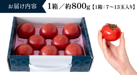 糖度9度以上 スーパーフルーツトマト てるて姫 小箱 約800g × 1箱 【7～13玉/1箱】  [BC065sa]